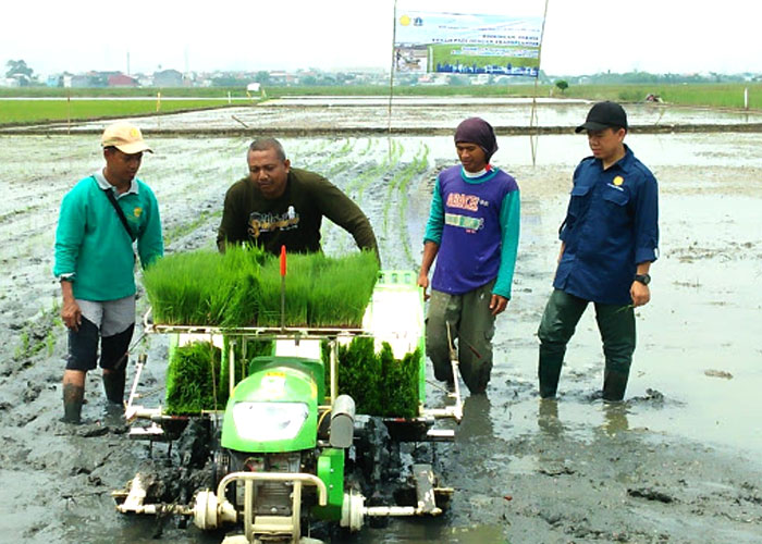 Read more about the article 5 Teknologi Andalan yang Bantu Industri Pertanian Indonesia